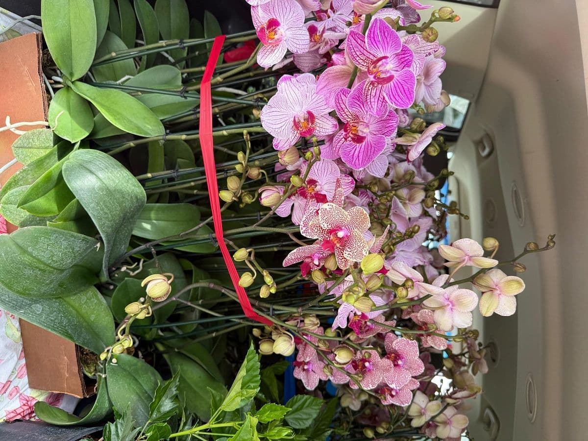 Garage Sale — 3016 S Peninsula Dr, Daytona Beach photo 5